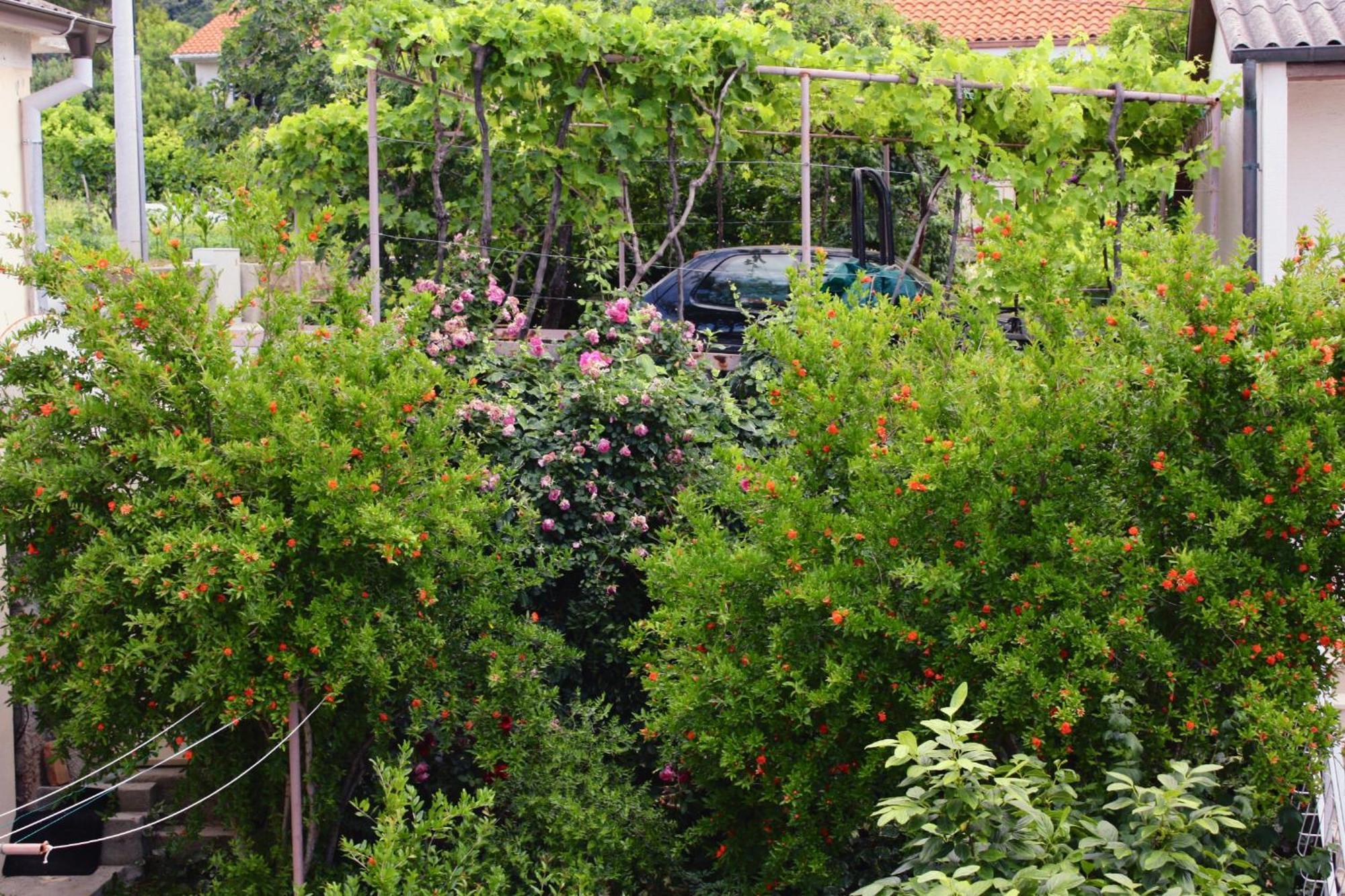 Apartments And Rooms By The Sea Barbat, Rab - 4973 Раб Екстериор снимка